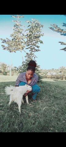 Sheilah89