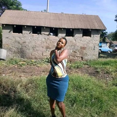 Phemynice