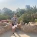 David_777 is Single in Hurghada, Al Bahr al Ahmar, 2
