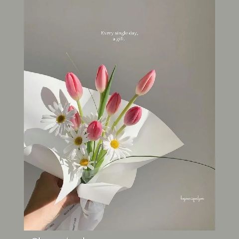Official_Elle