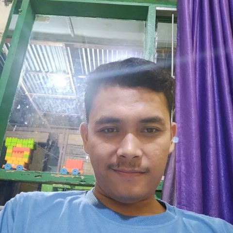 Sireg