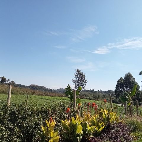 Wanje25