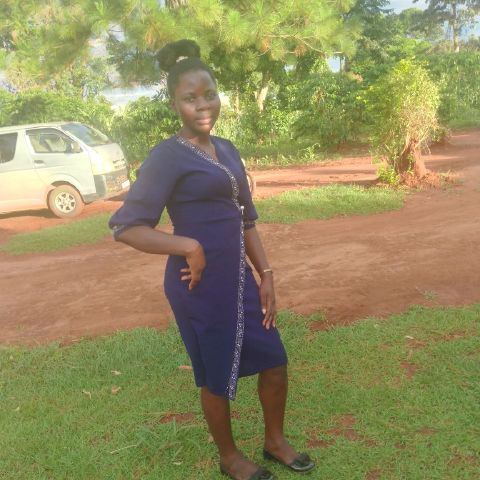 AGNESo