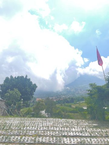Remita