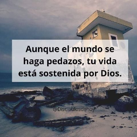Nela.dcl
