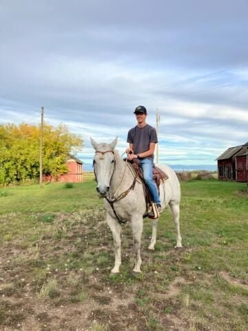 Aperry is Single in Three hills, Alberta, 7