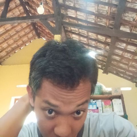 Idnaleinto