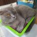 Raymond5796 is Single in Kl, Wilayah Persekutuan