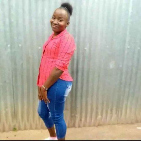 Elosy12