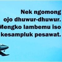 Vibo