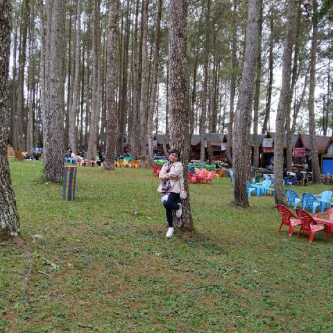Laura56vwh