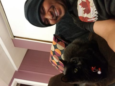 Christian748 is Single in Toronto, Ontario, 5