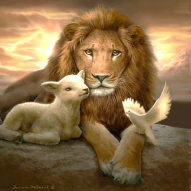 LionofJudah7 is Single in Albuquerque, New Mexico, 5