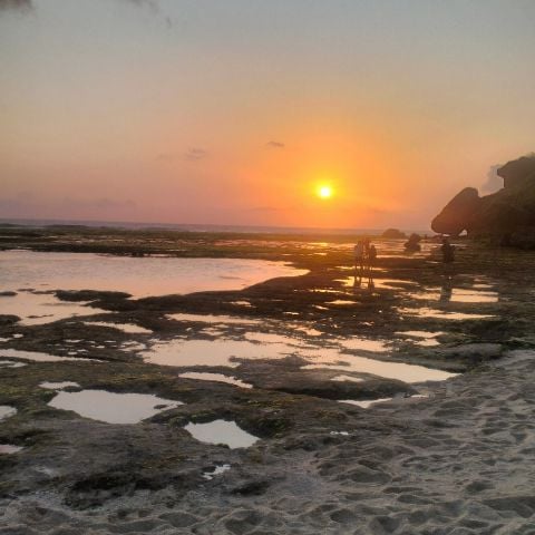 Caranina