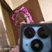jacquelinemweemba is Single in Lusaka, Lusaka, 5