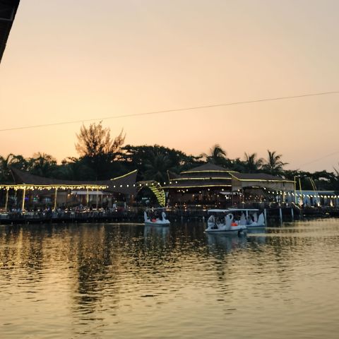 Ribka25