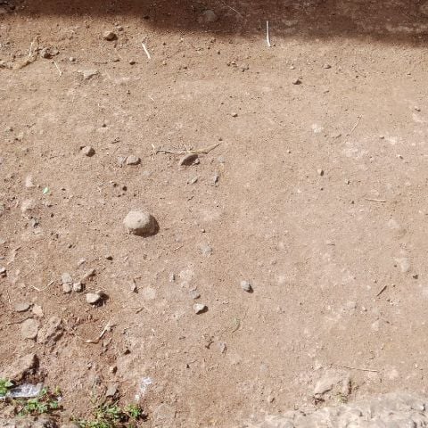 Tindi69