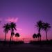 usname is Single in JACKSONVILLE, Florida