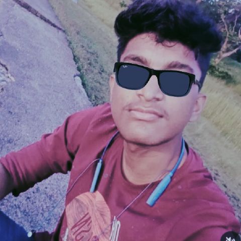Nirvik