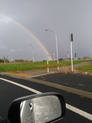 Pasifika04