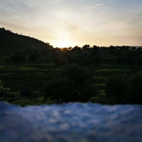 Nawar265277