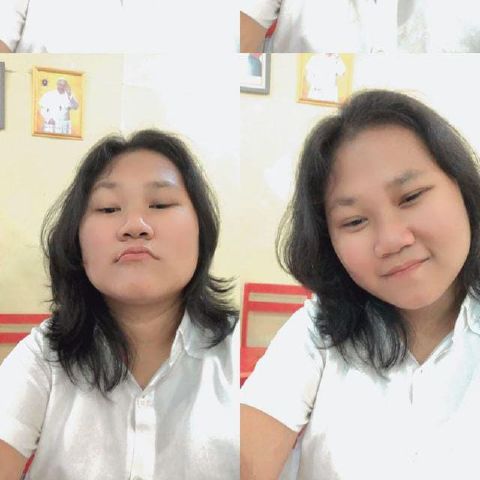 mayora_