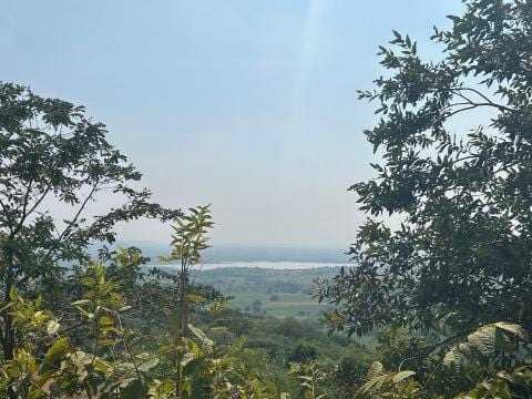 Chunchunla