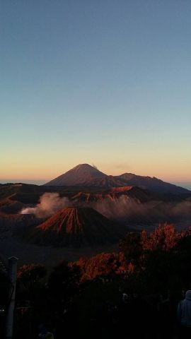 7724M