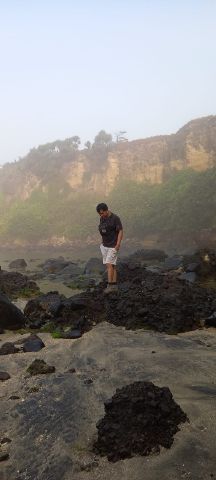 Holong17