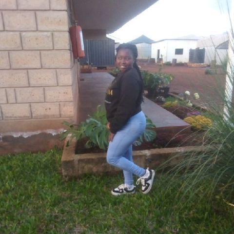 Dorcas250