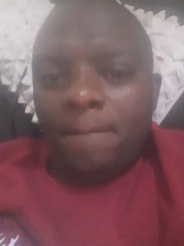 Boito