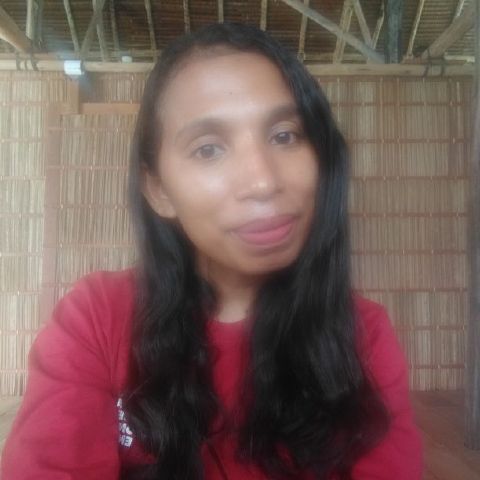 Herlin77