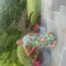 ILIV2LOV11 is Single in Cherry Hill, New Jersey, 3