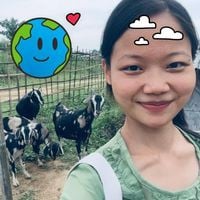 Nokti