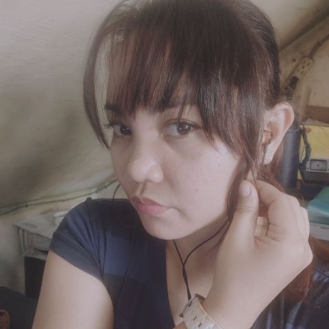 bhevs_0412