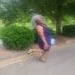 Brownsuga1964 is Single in Concord, North Carolina