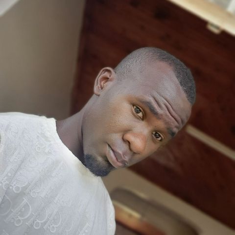 Kevin281