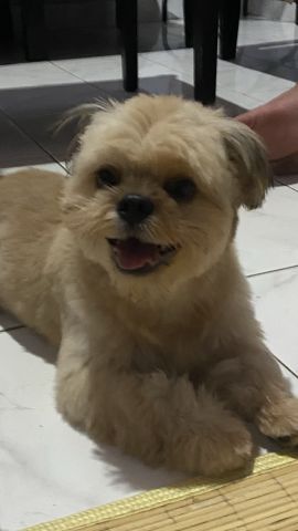 Deani