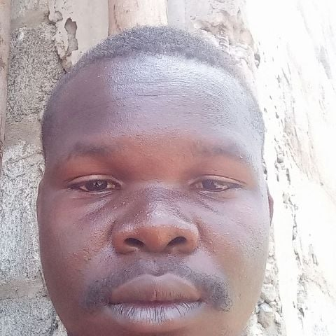 mosesod