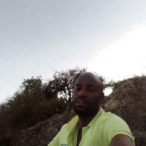 Odero54