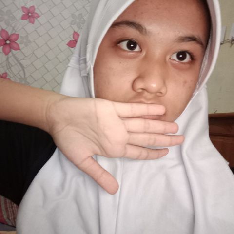 frid_a