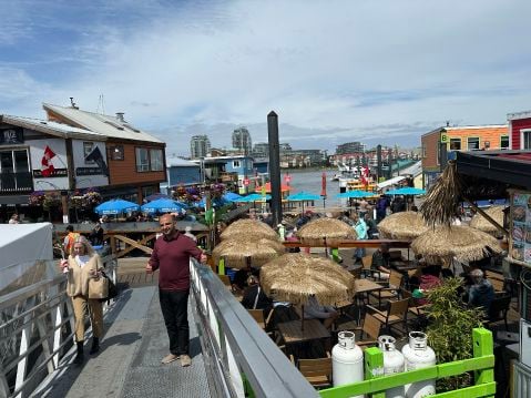 parpoze is Single in Edmonton, Alberta, 4