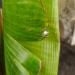 Dave2174 is Single in Fort Wayne, Indiana, 6