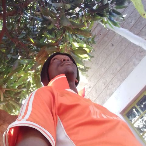 Tyler038