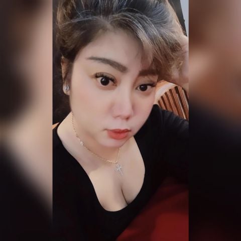DianLi85