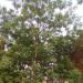 BarAb12 is Single in New Delhi, Delhi, 1