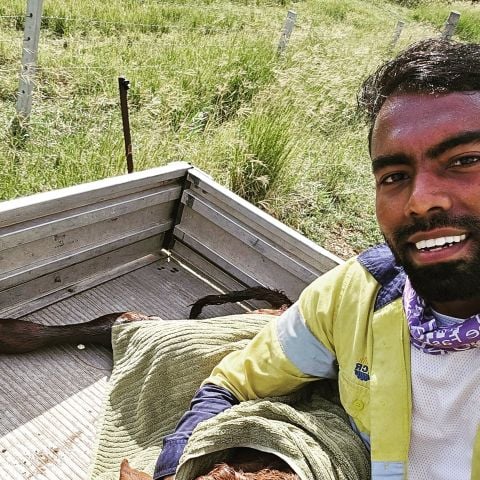 Ricky8727 is Single in Abbotsford, Queensland, 5