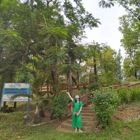 Ehya29