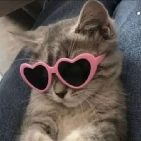 Idkjskaksjsbs