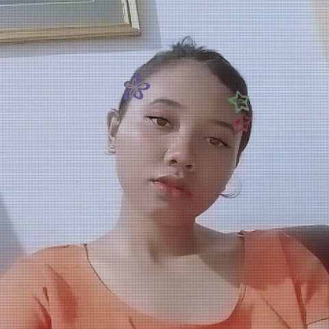 dwipan